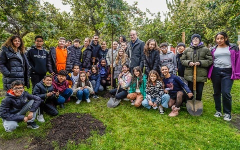 Un nuevo árbol en el Parque Constitución de Torrejón de Ardoz para conmemorar el aniversario de la Carta Magna arbol constitucion 2023