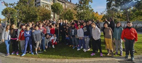 constitucion arbol 2015