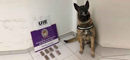 detenido 700 gramos hachis