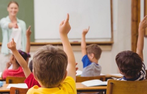 escolarizacion curso 24 25