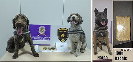 unidad canina hachis febrero