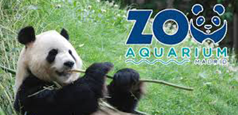 Día especial zoo