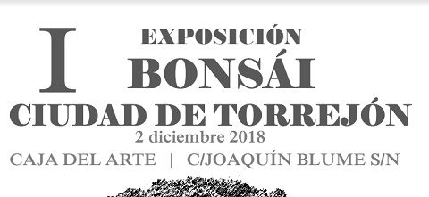 Los amantes de los bonsáis tienen una cita en la Caja del Arte de Torrejón de Ardoz exposicion bonsais