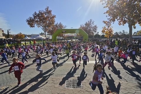 carrera constitucion 2015 balance 2