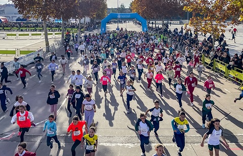 carrera constitucion 2024 balance