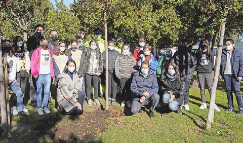 arbol constitucion 2021