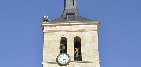 ciguenas
