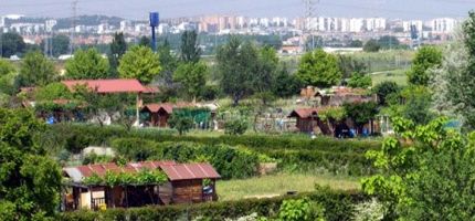 Abierto el plazo de inscripción para solicitar la explotación de los huertos de ocio de la Finca “Caserío de Henares” huerto ocio