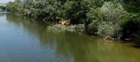 Río Henares rio henares