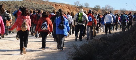 camino cervantes 2