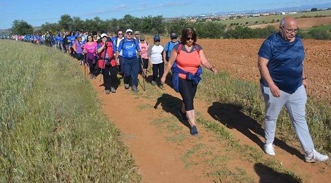 camino cervantes final 2019