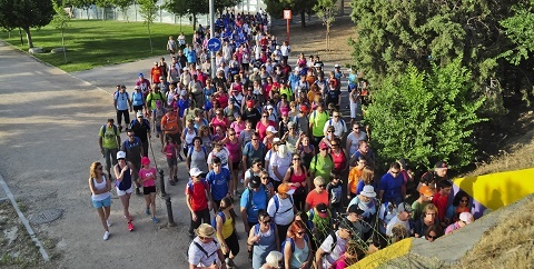 camino cervantes ultima etapa 2017