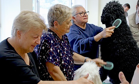 hospital terapia animales depresion