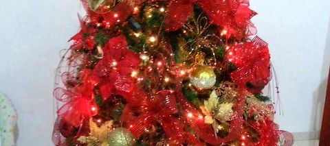 abeto navidad