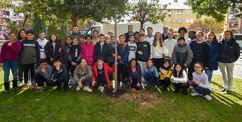 aniversario constitucion 2019