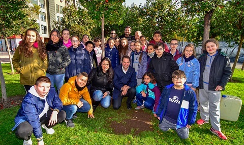 arbol dia constitucion 2018