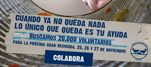 banco alimentos 2016