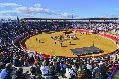 carnaval torrejon 2016 2
