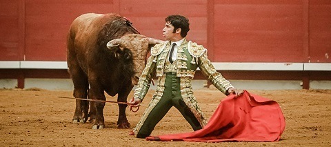 cayetano rivera torero