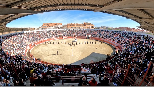Miles de vecinos de Torrejón de Ardoz disfrutaron en las actividades municipales del Día de la Tortilla dia tortilla 2022 balance 2