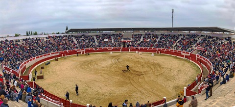 El Recinto Ferial se llenó de torrejoneros para disfrutar de las actividades municipales del Día de la Tortilla dia tortilla balance 2020 2