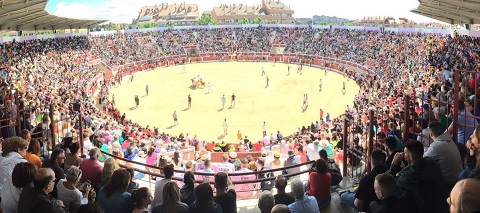 fiestas torrejon 2016 encierro sabado