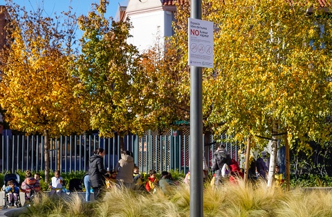 parque central espacio sin humo
