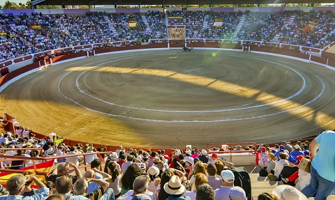 plaza toros torrejon