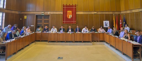 pleno torrejon de ardoz recurso