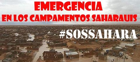 sos sahara bir ganduz