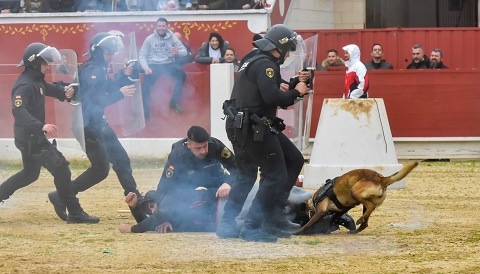unidad canina exhibicion